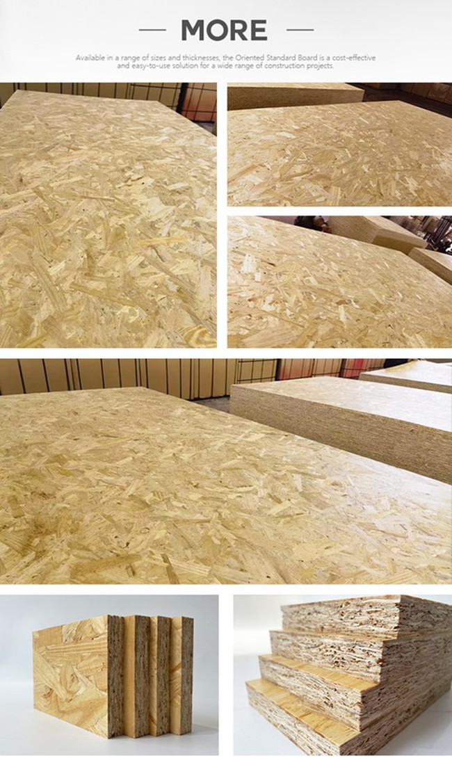 Oriented Strand Board 2 Oriented Strand Board 2