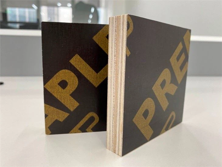 Linyi Film Faced Plywood Hot Sale