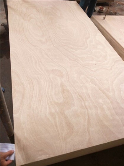 מכירה חמה 18 מ"מ Bintangor פנים/גב יריעת דיקט מסחרית Best